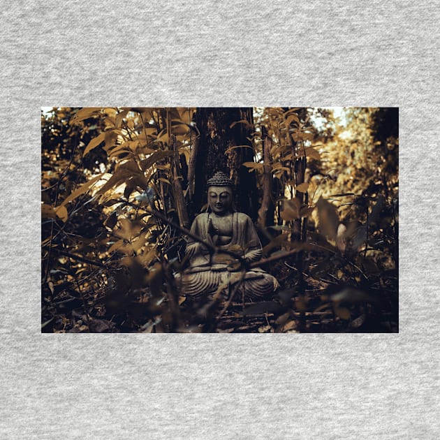 Buddha forest by Viewtiful_Art